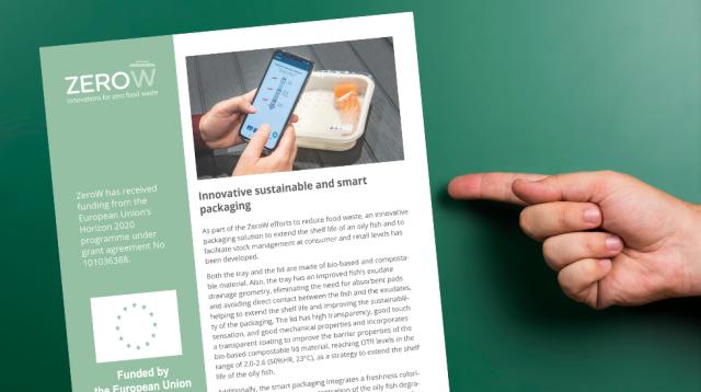 Practice Abstract: Innovative sustainable and smart packaging