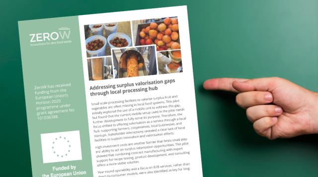 Practice Abstract: Addressing surplus valorisation gaps through local processing hub