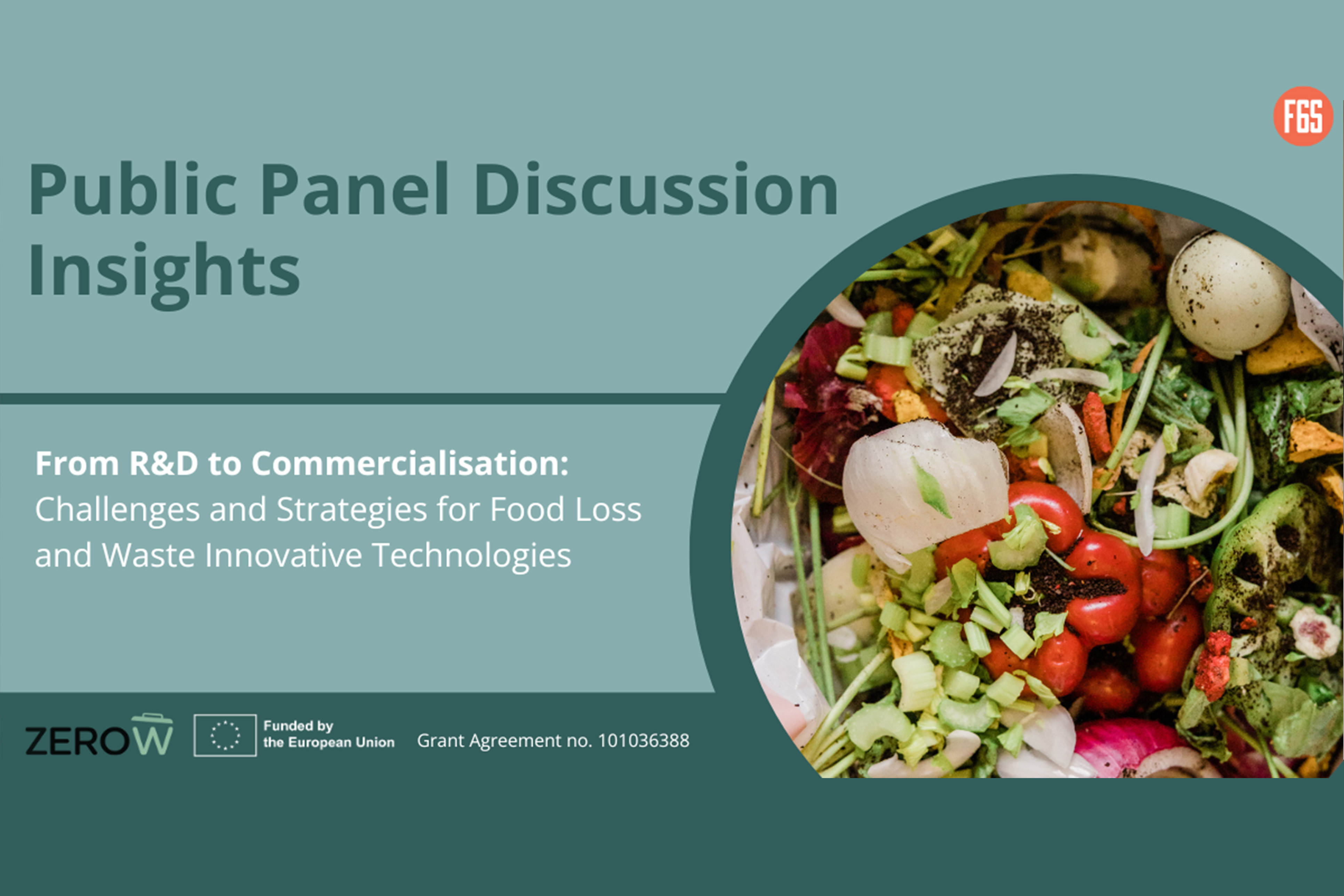 Insights: Panel Discussion on Transitioning Innovative FLW Technologies ...